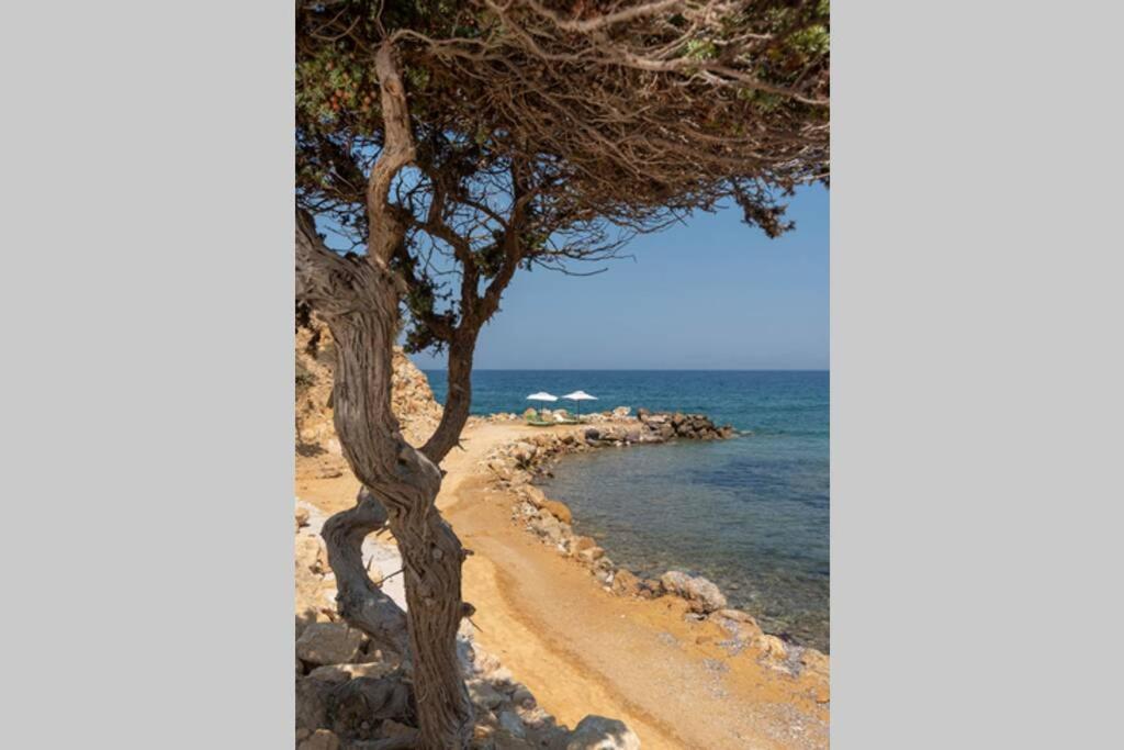 Ktima Sfakia Villa Kefalos  Ngoại thất bức ảnh